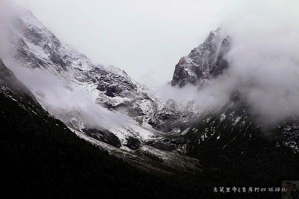 【LNG研报】1月29日