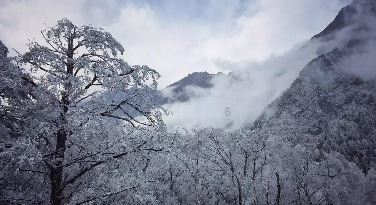 水磨沟区科学普及增动力 奋楫谱写新篇章